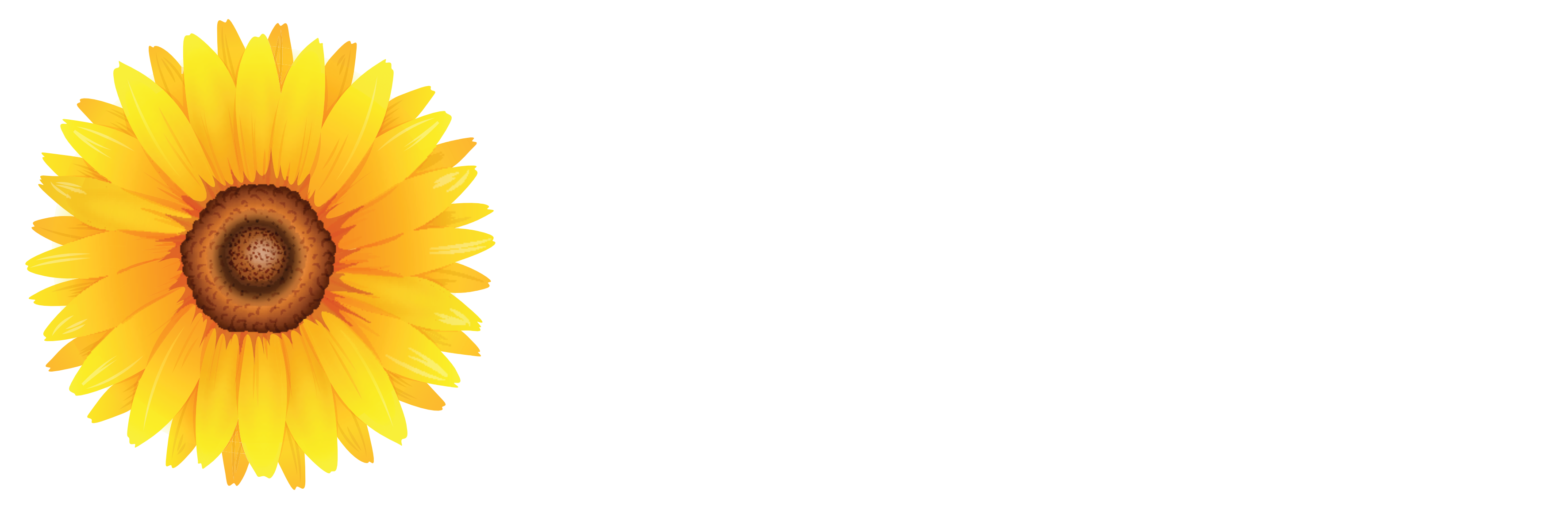 Jane Stoggles Funerals